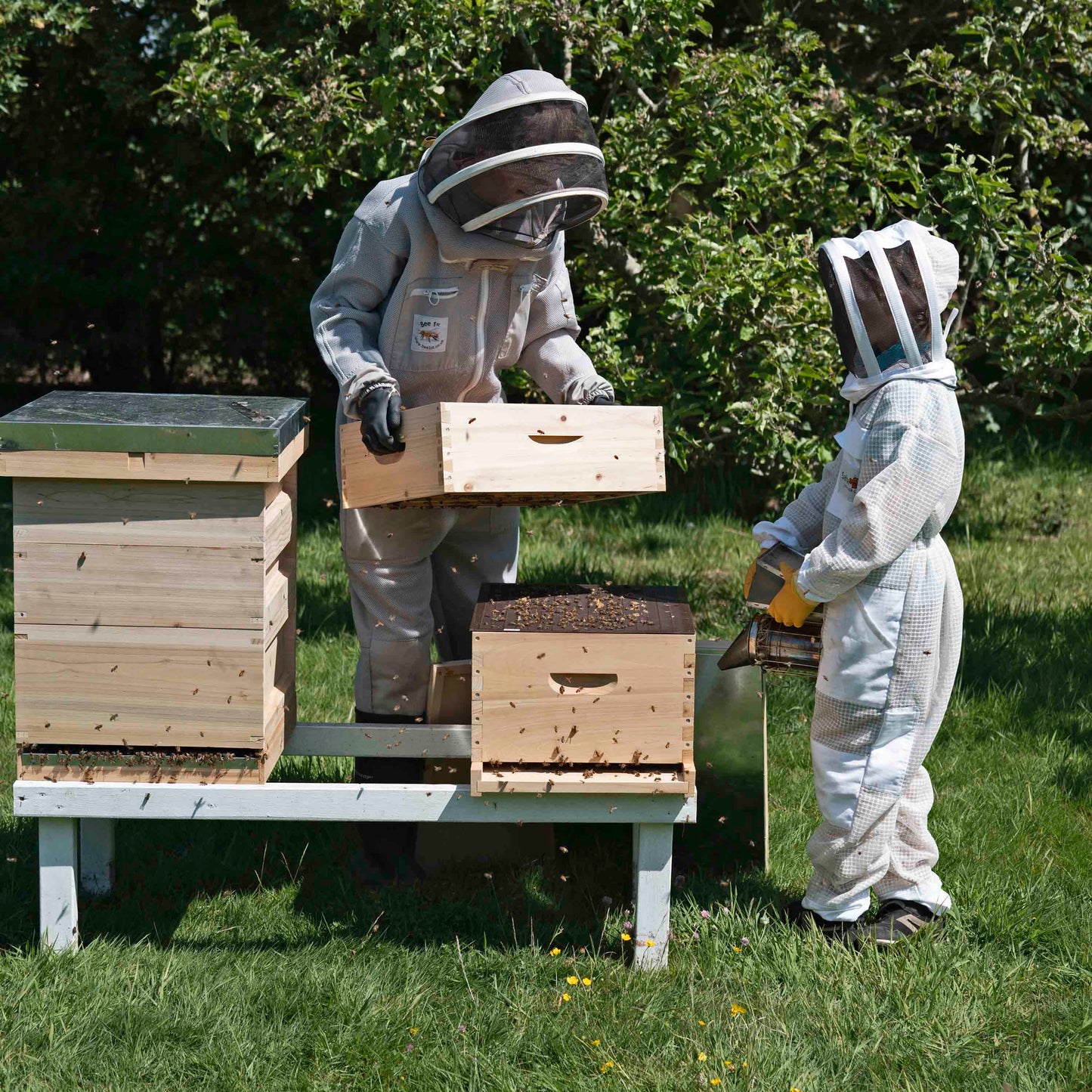 Langstroth Bee Hive Wooden 10 Frame Super Box