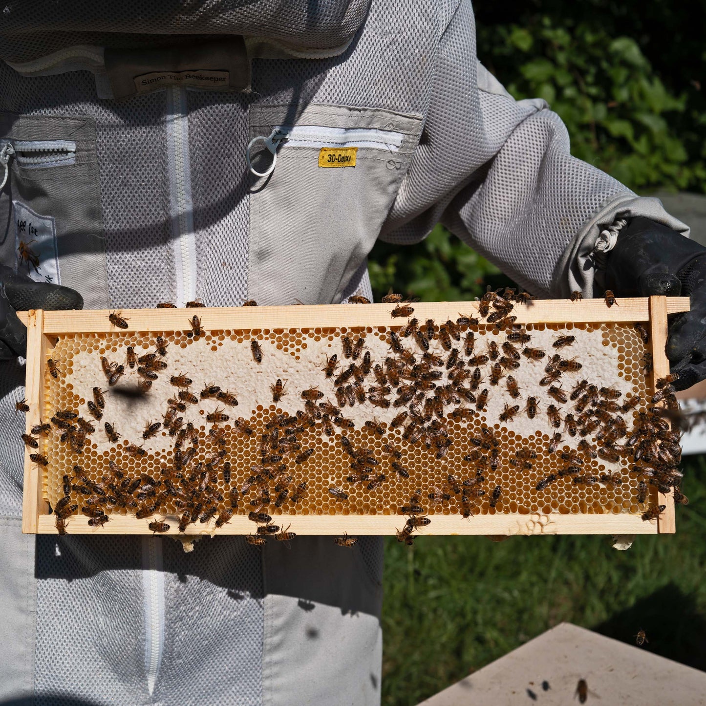 Langstroth Super Bee Hive Frames - Pack of 10 Frames Pre-made with Foundation