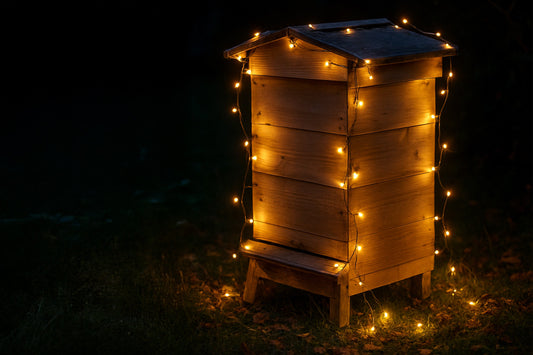 A festive buzz in the air