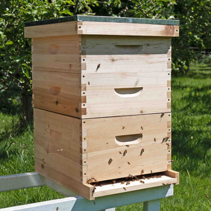 langstroth bee hive with honey bees entering the door green background in the uk