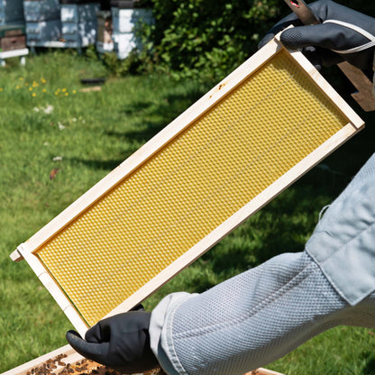 Langstroth Super Bee Hive Frames - Pack of 10 Frames Pre-made with Foundation