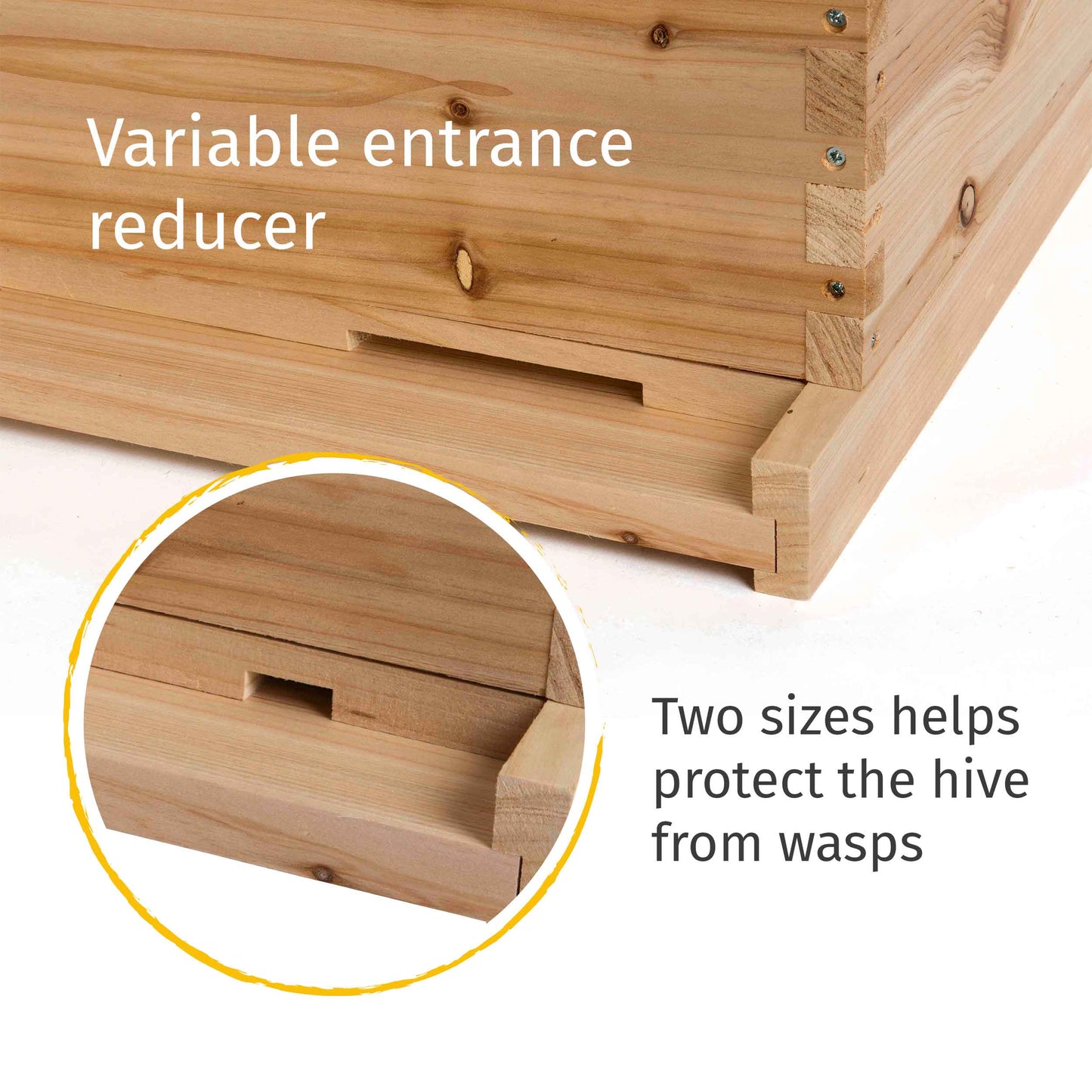 bee hive entrance reducer showing two sizes of entrance holes 